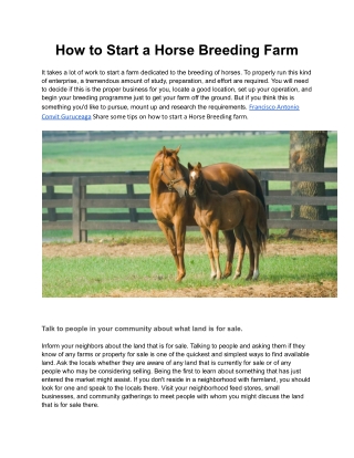 Best Ways to Start a Horse Breeding Farm