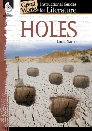 Holes An Instructional Guide for Literature  Novel Study Guide for 4th 8th