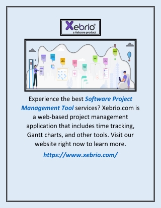 Software Project Management Tool | Xebrio.com