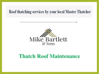 Thatch Roof Maintenance