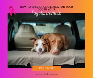 How to Ensure a Safe Ride for Your Dog in Your Toyota Vehicle