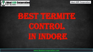 Best Termite Control in Indore - Ideal ASR Corporation