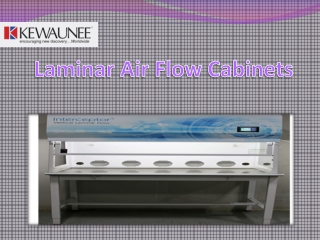 Laminar Air Flow Cabinet