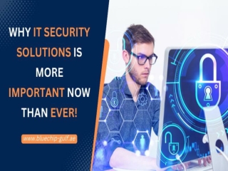 Why IT Security Solutions is more important now than ever!