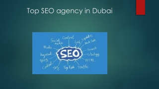 Top SEO agency in Dubai