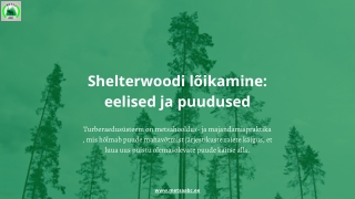 Shelterwoodi lõikamine eelised ja puud