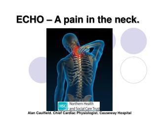 ECHO – A pain in the neck.