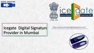 icegate Digital Signature provider in Mumbai