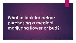 What to look for before purchasing a medical marijuana