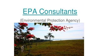 EPA Consultants