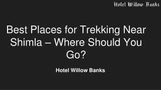 Best Places for Trekking Near Shimla – Where Should You Go?