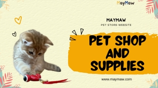 KitiFISH | KitiFISH Num Mini 8 | KitiFISH Toy | MayMaw