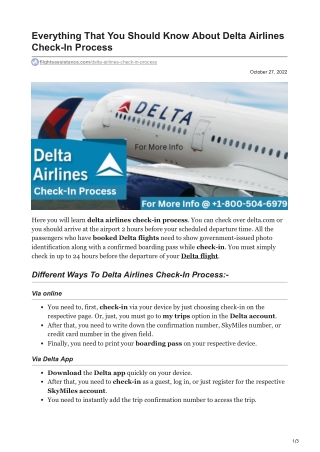 flightsassistance.com-Everything That You Should Know About Delta Airlines Check-In Process