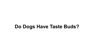 Do Dogs Have Taste Buds_