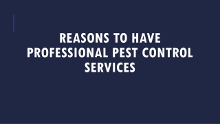 Professional Pest Control Services