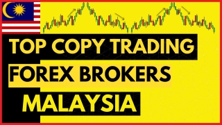 Top Copy Trading Forex Brokers In Malaysia - Live Forex Trading