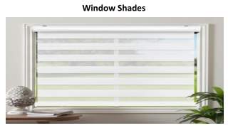 Window Shades