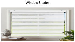 Window Shades