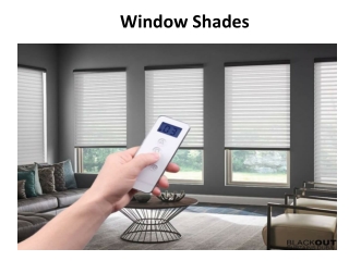 Window Shades