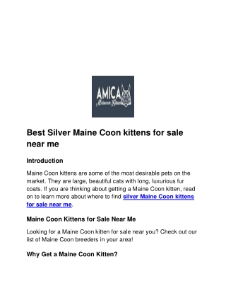 Best Silver Maine Coon kittens for sale near me