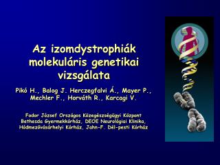 Az izomdystrophiák molekuláris genetikai vizsgálata