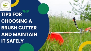 TIPS FOR CHOOSING A BRUSH CUTTER AND MAINTAIN IT SAFELY