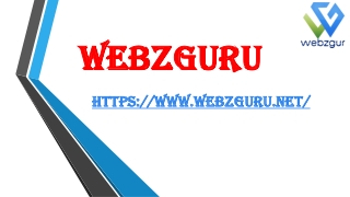 Software development ( Webzguru Services)