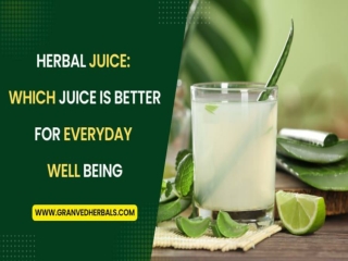 Herbal Juice Which Juice is Better for Everyday Well Being