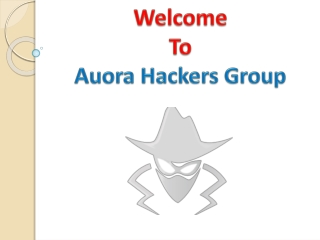 Professional Hackers For Hire - Auora Hackers Group