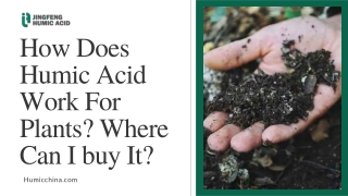 How Does Humic Acid Work For Plants Where Can I buy It?