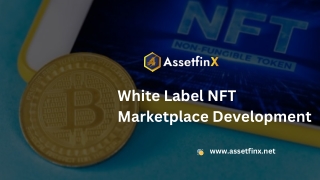 NFT Marketplace Development On Various Blockchain Networks