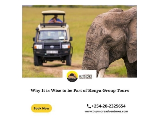 Why It is Wise to be Part of Kenya Group Tours