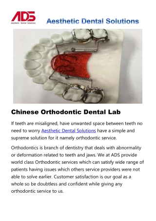 Chinese Orthodontic Dental Lab