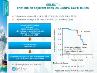SELECT : erlotinib en adjuvant dans les CBNPC EGFR mutés
