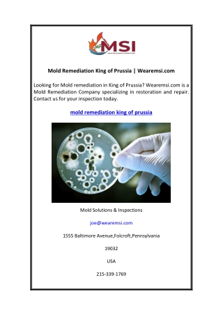 Mold Remediation King of Prussia Wearemsi.com