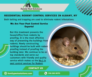 Residential Rodent Control Services in Albany, NY