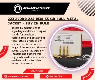 223 250rd 223 Rem 55 gr Full Metal Jacket - Buy in Bulk