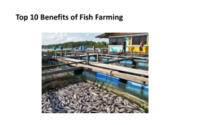 Top 10 Benefits of Fish Farming