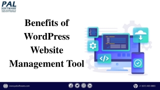 WordPress Website Management Tool
