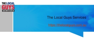 Franchise for Sale Adelaide | Thelocalguys.com.au