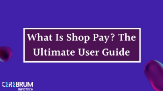 What Is Shop Pay The Ultimate User Guide