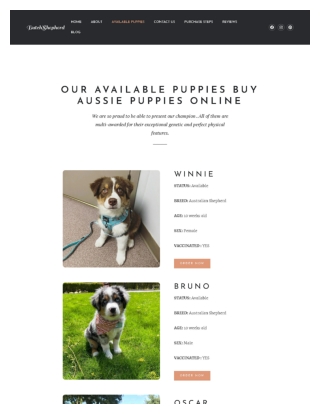 Australian shepherd puppies for sale | How to Buy Australian shepherd | Buy Dogs