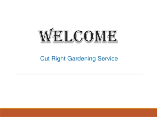 Top Quality Service for Landscaping in Werribee