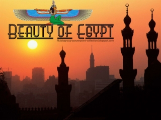 Beauty of Egypt