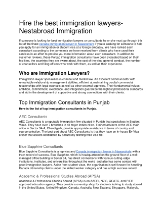 Hire the best immigration lawyers- Nestabroad Immigration