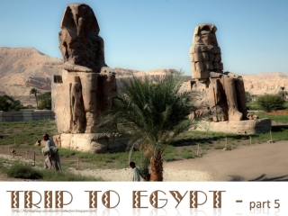 Trip to EGYPT (part 5)- [LUXOR - Hurgada - Alexandria]