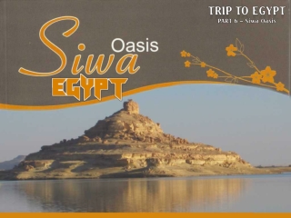 Trip to EGYPT (part 6) - [SIWA OASIS]