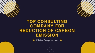 Top Consulting Company for Reduction of Carbon Emission