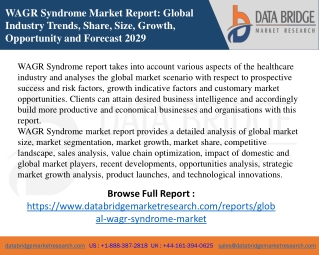 WAGR Syndrome Market