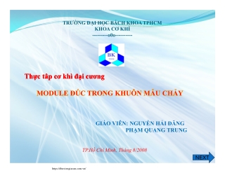 Module đúc trong khuôn mẫu chảy